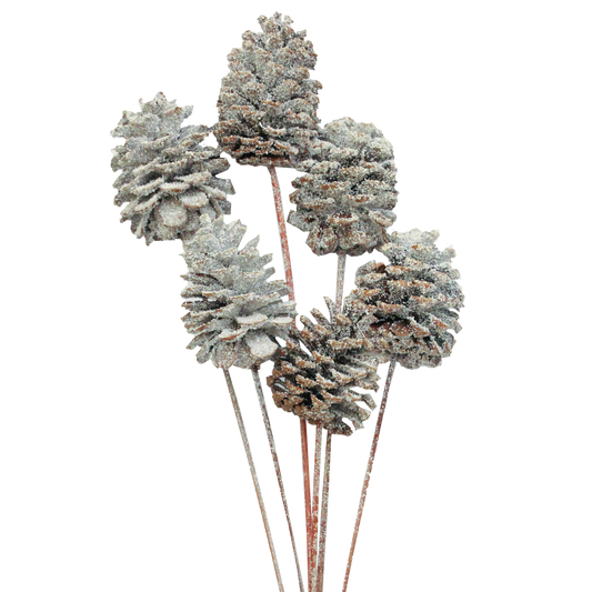 pine cones large - 6 stem - snow