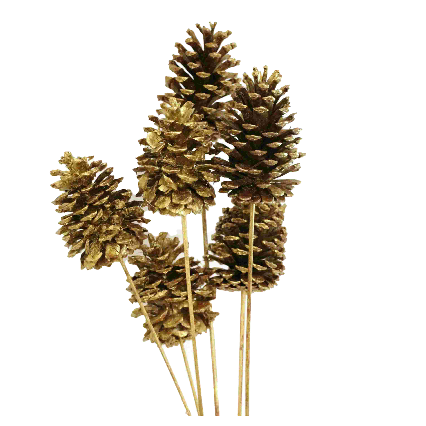 pine cones large - 6 stem - gold metallic