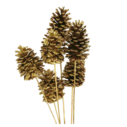 pine cones large - 6 stem - gold metallic