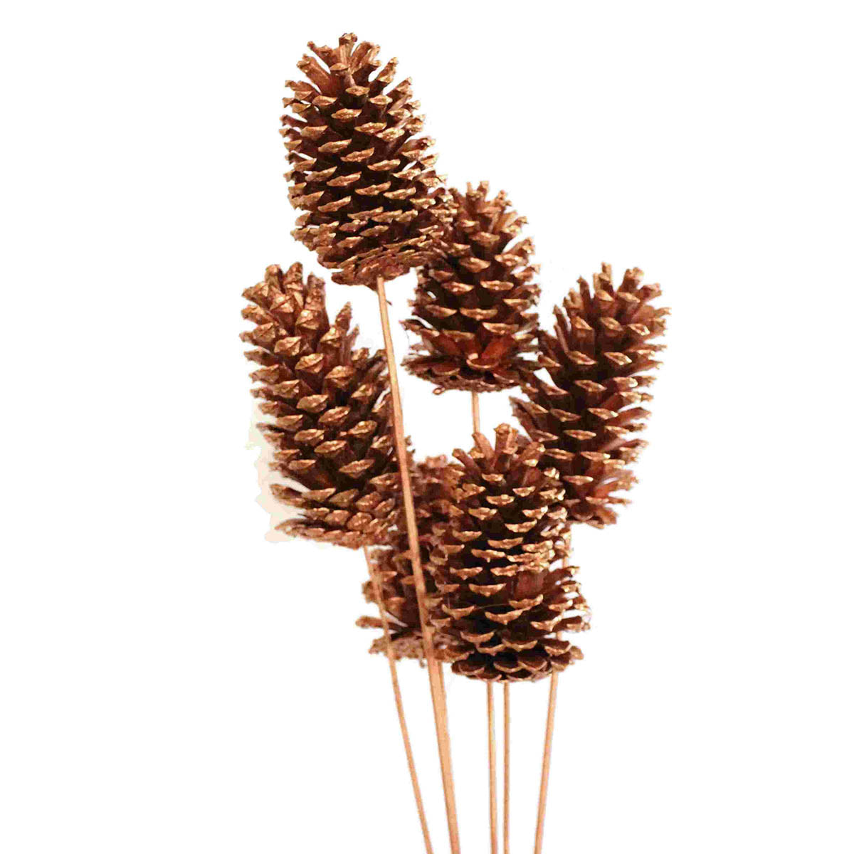 pine cones large - 6 stem - copper metallic