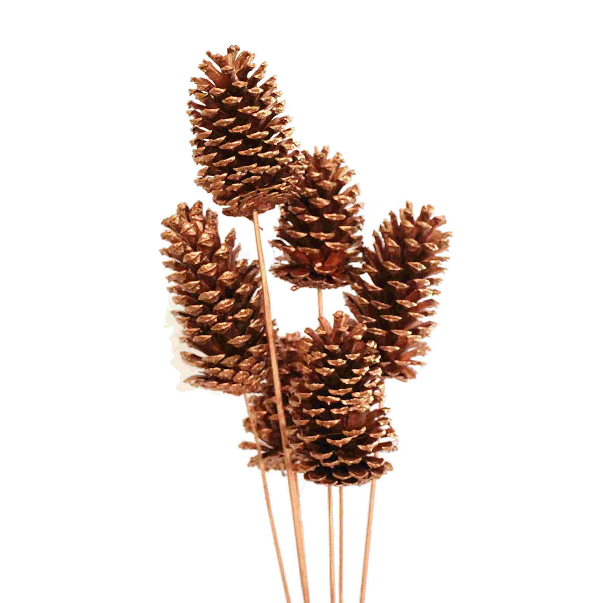 pine cones large 10-15cm - stem - copper metallic - bulk - 100/case