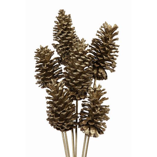 pine cones large 10-15cm - stem - champagne metallic - bulk - 100/case