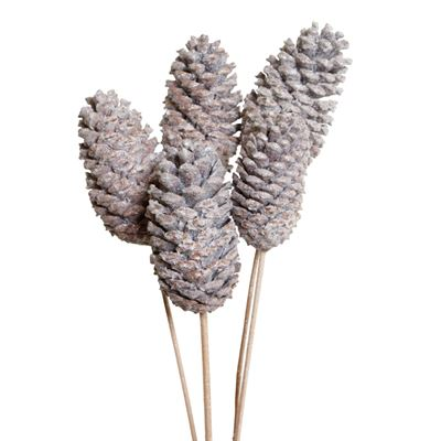 pine cones large - 6 stem - frosted