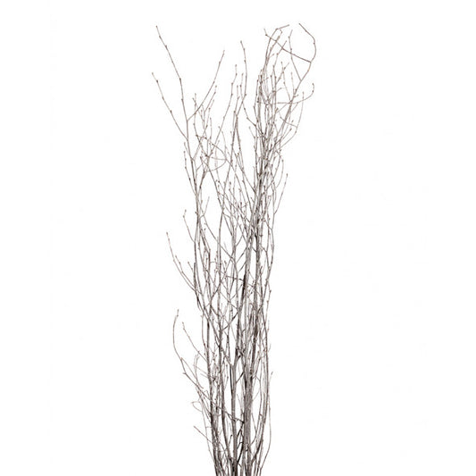 birch branches - white wash