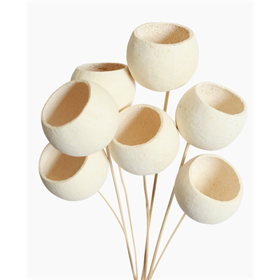 bell cups - bleached