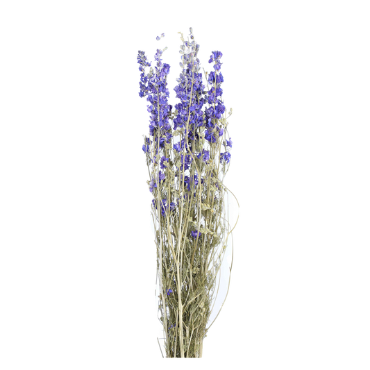 larkspur - natural blue