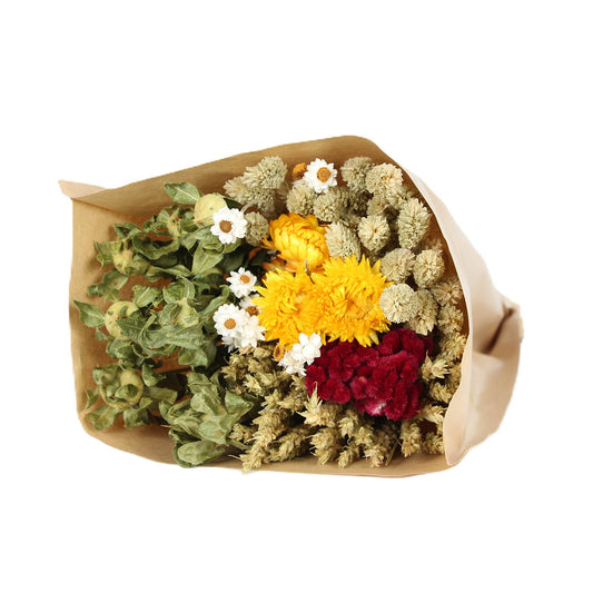 farm bunch - yellow helichrysum