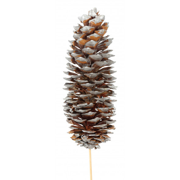 sugar pine cones - 1 stem - silver metallic
