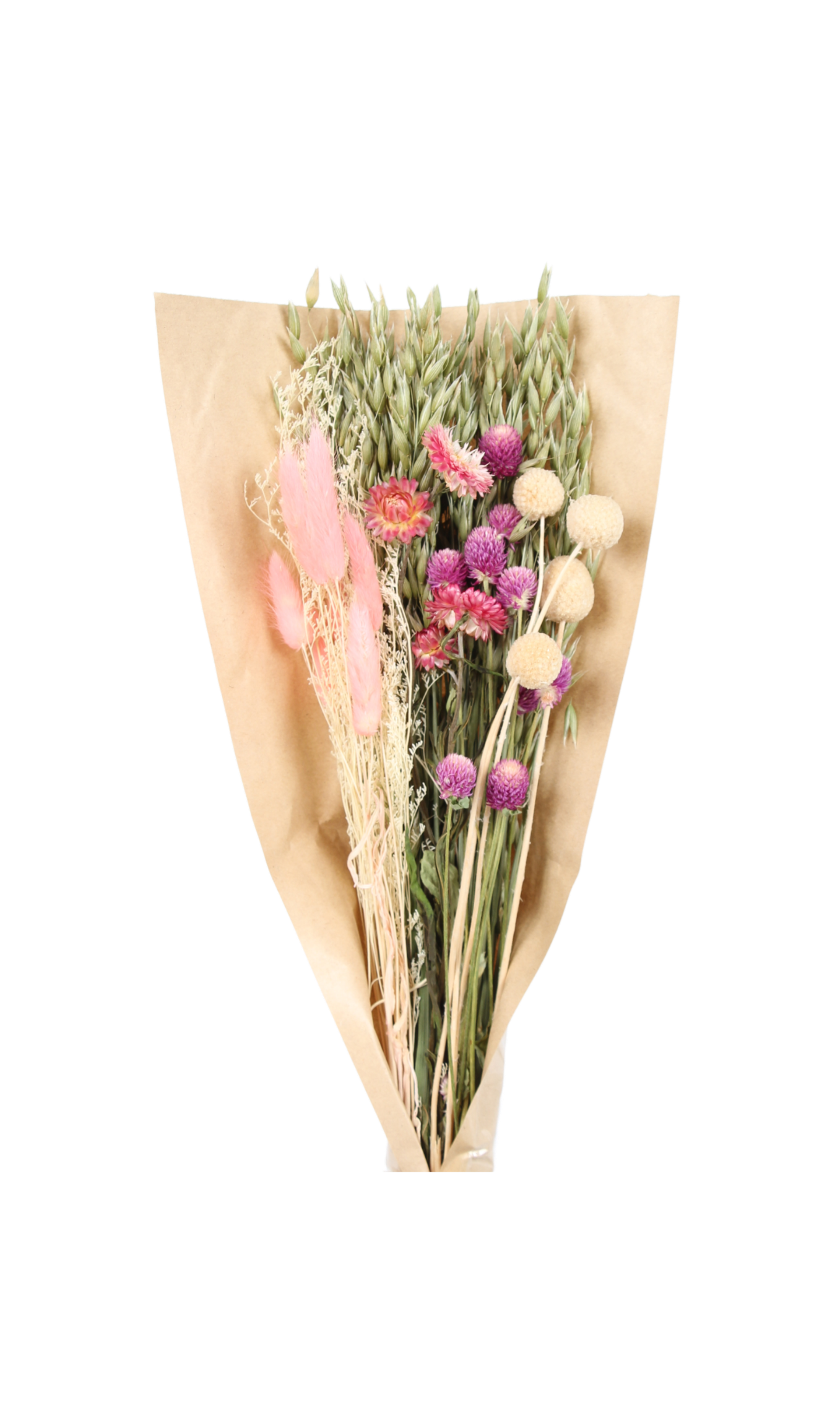 spring pink - medium upright
