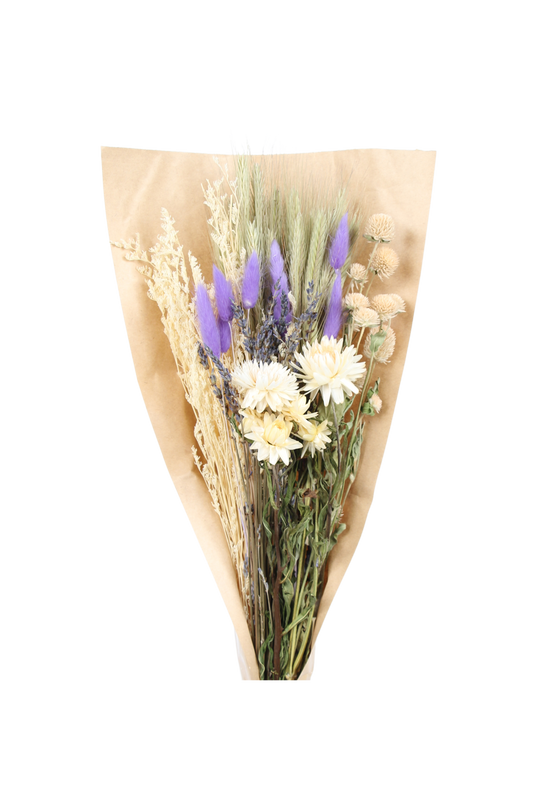 sweet dreams - medium upright