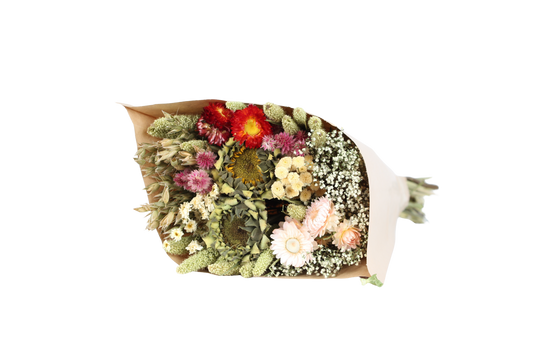 harvest glow - medium round