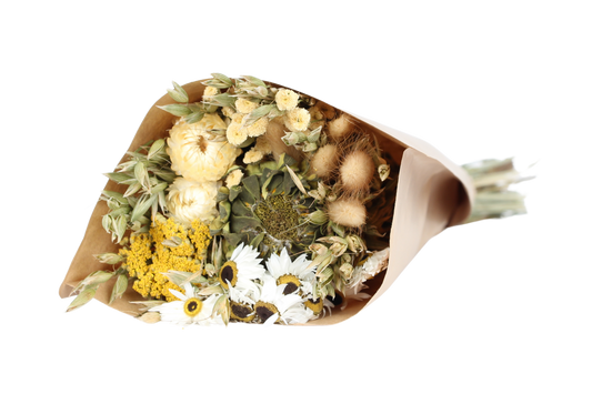 autumn air - small round