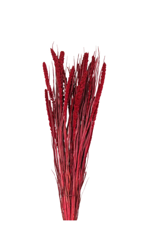 spray millet - 4 oz - red