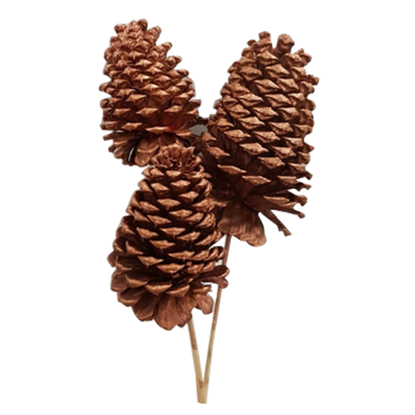 jeffrey pine cones x-large - 3 stem - copper metallic