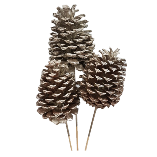 jeffrey pine cones x-large - 3 stem - champagne metallic