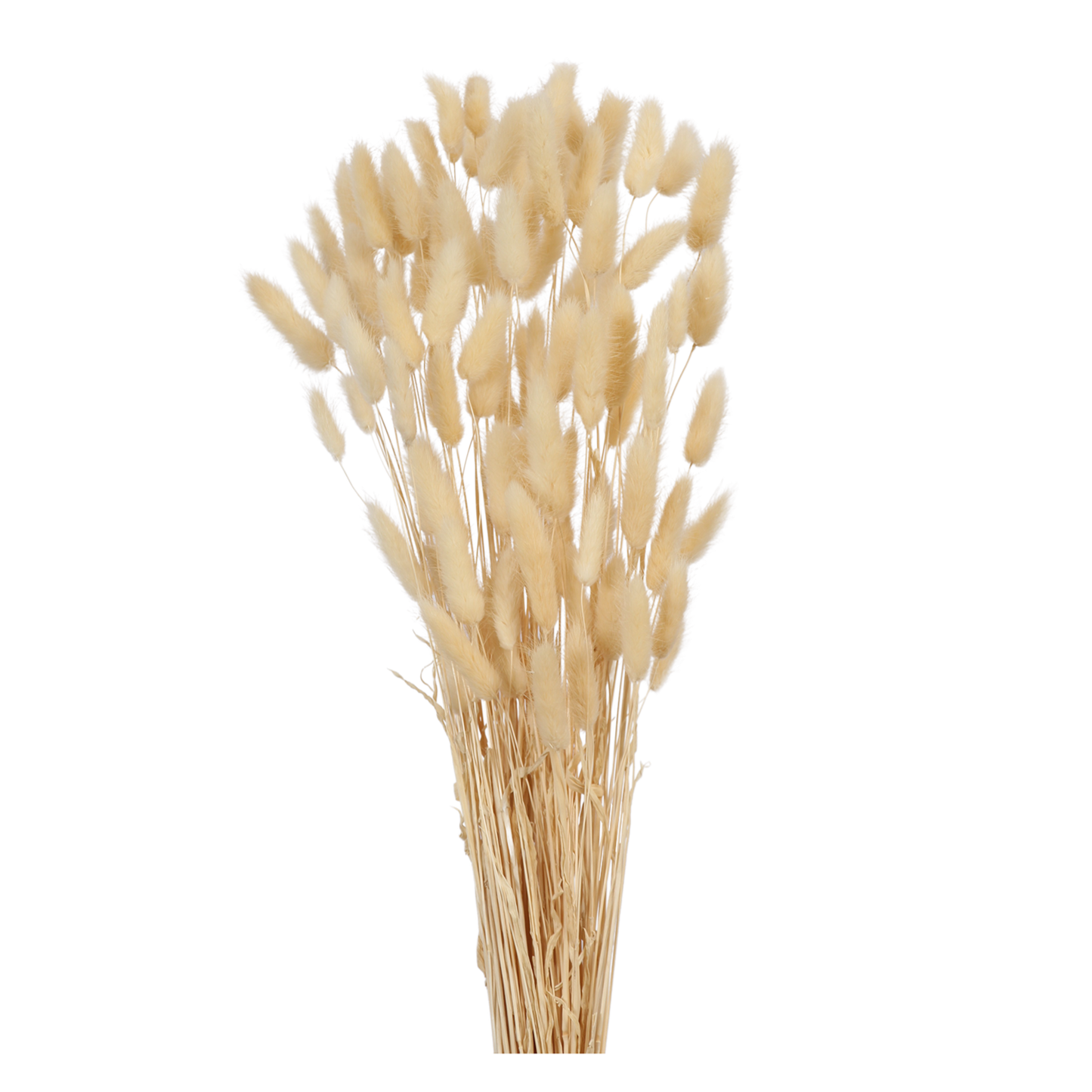 laguras - bunny tails - 2oz - bleached