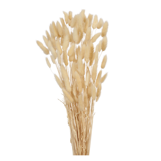 laguras - bunny tails - 2oz - bleached