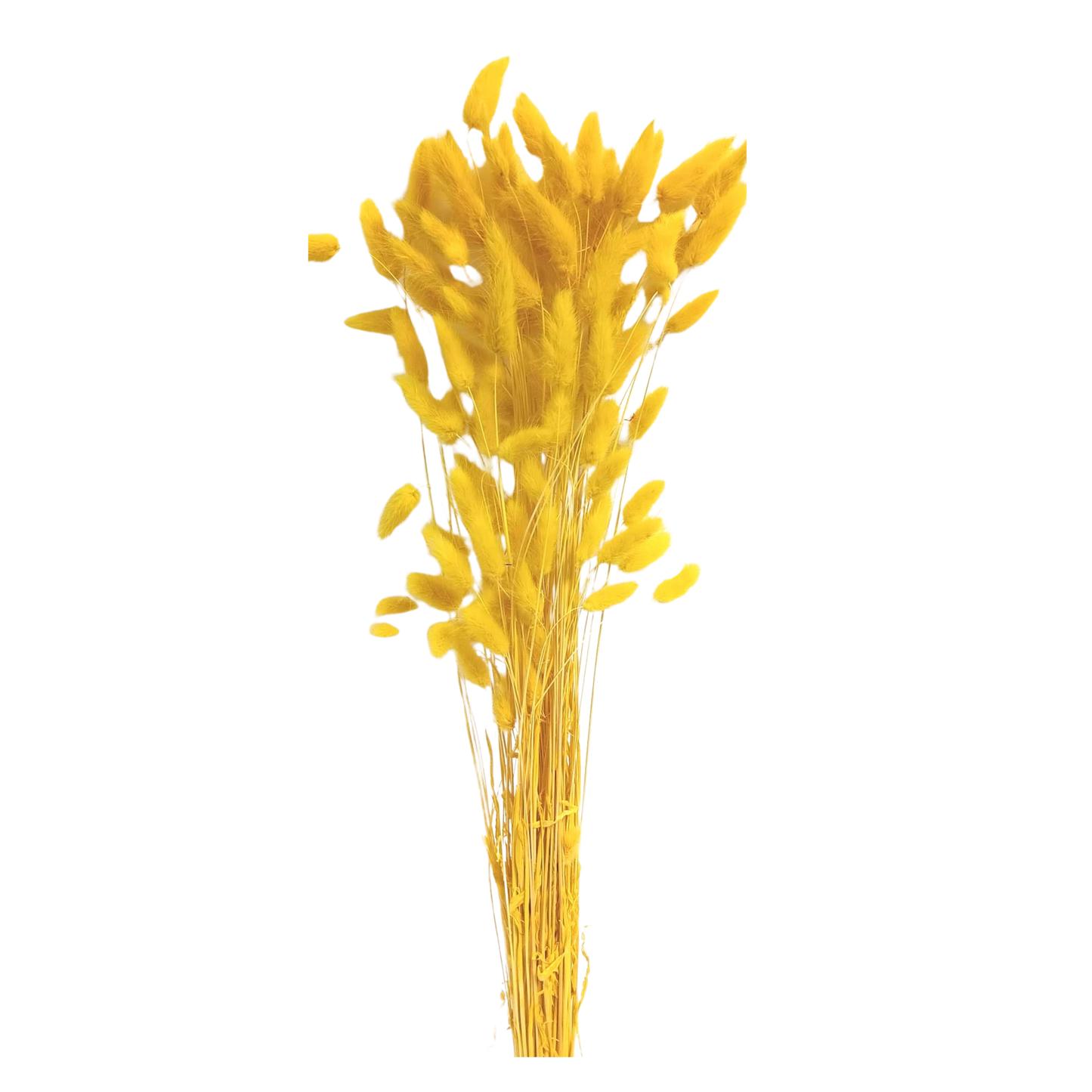 laguras - bunny tails - 2oz - yellow