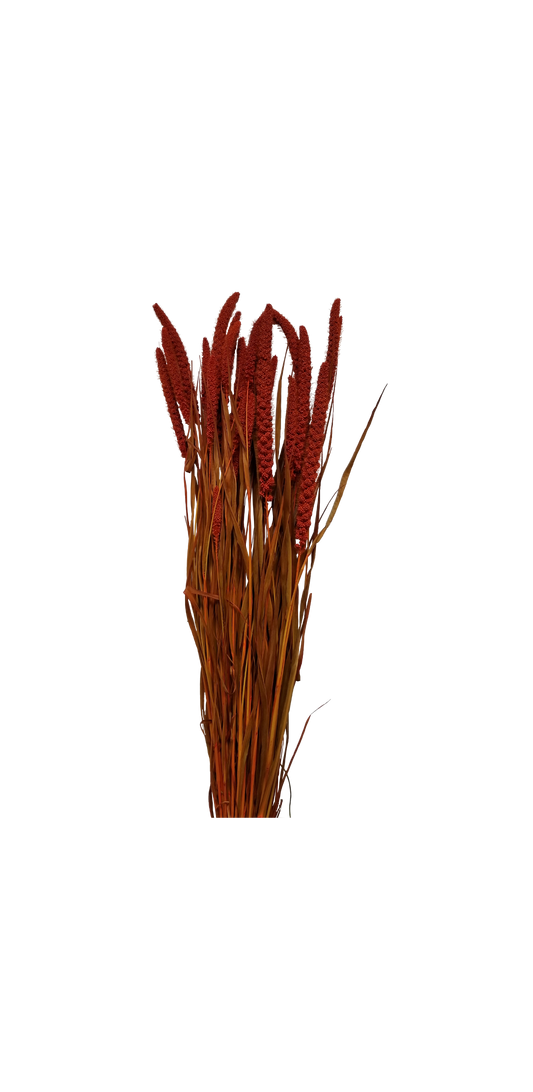 spray millet - 4 oz - orange